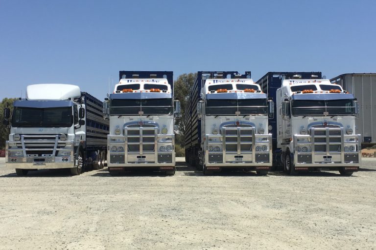 GALLERY Hannasky Livestock Carriers Echuca